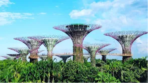 Gardens by the Bay